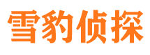 宝山区市婚姻调查